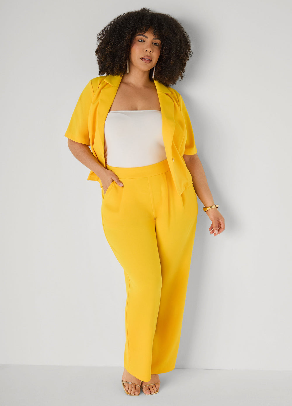Pleated Wide Leg Pants Royal Blue | Ashley Stewart