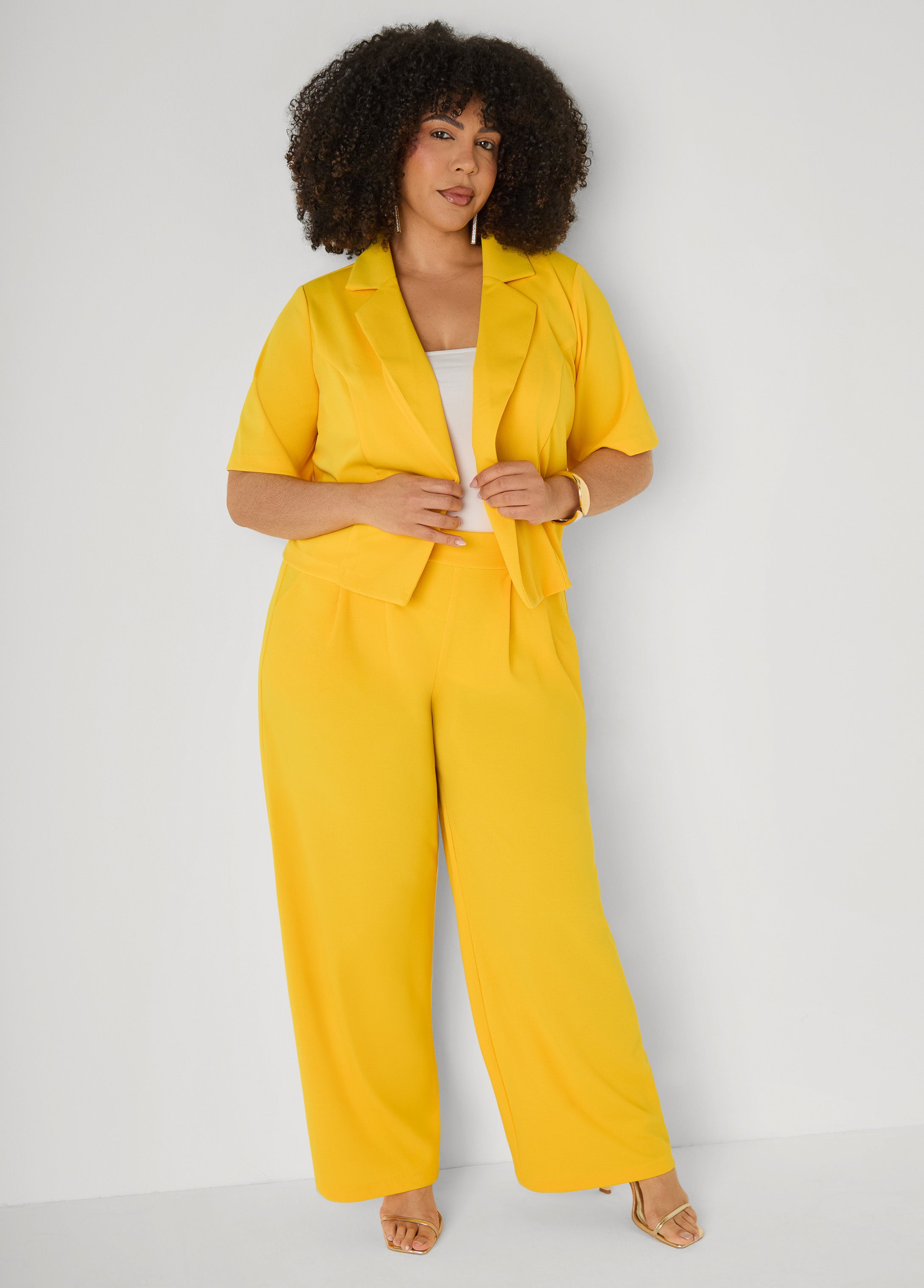 Pleated Wide Leg Pants Royal Blue | Ashley Stewart