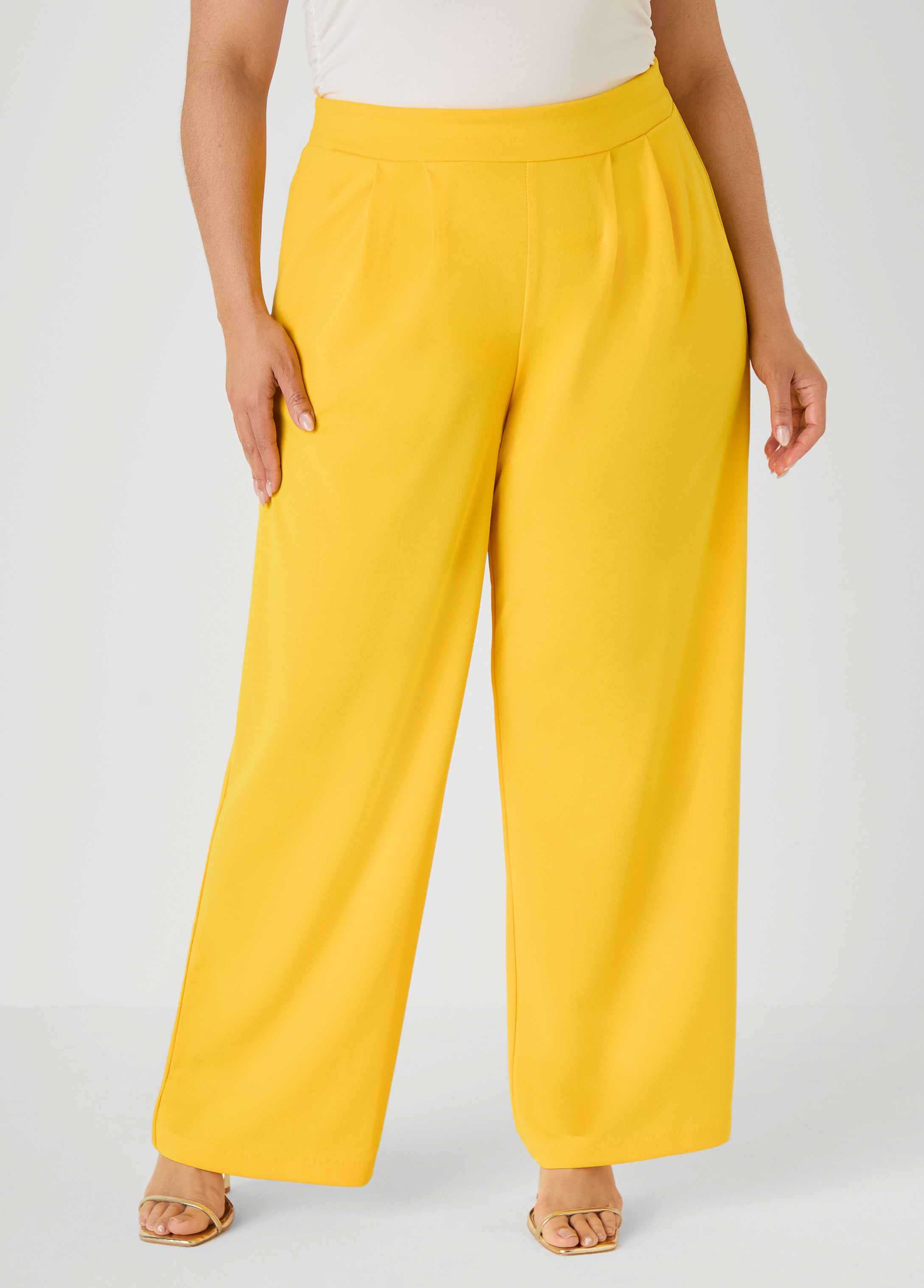 Pleated Wide Leg Pants Royal Blue | Ashley Stewart
