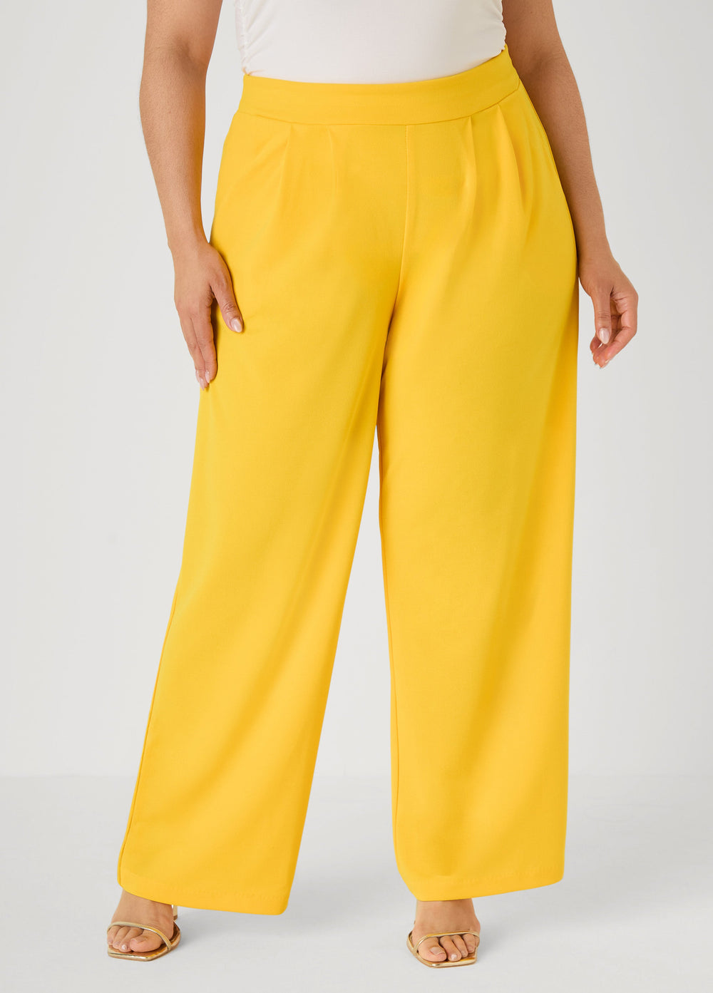 Pleated Wide Leg Pants Royal Blue | Ashley Stewart