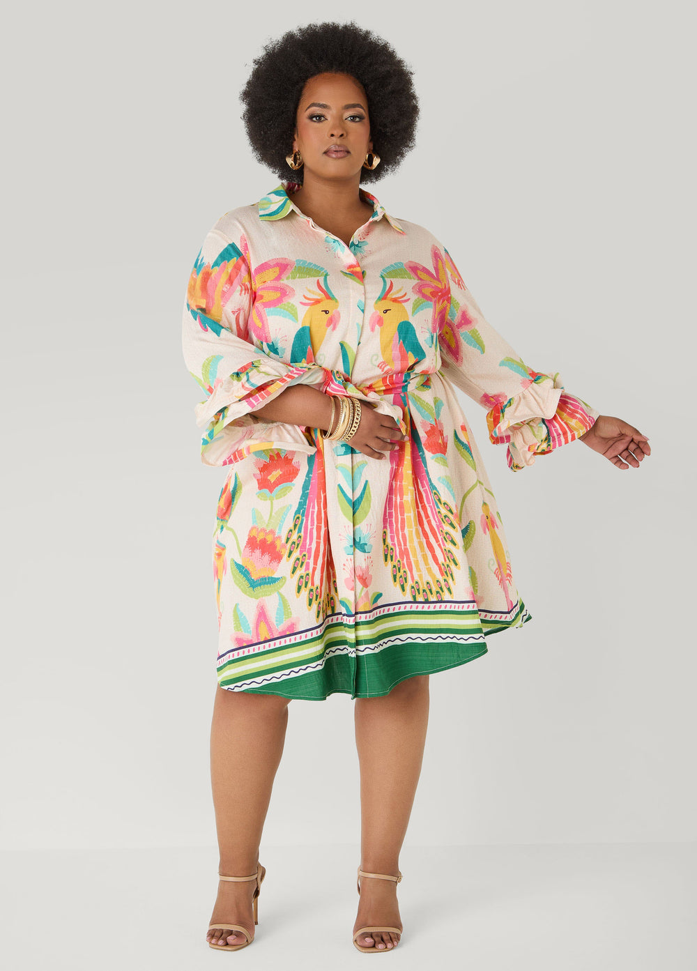 Ruffled Parrot Print Shirtdress Multi | Ashley Stewart