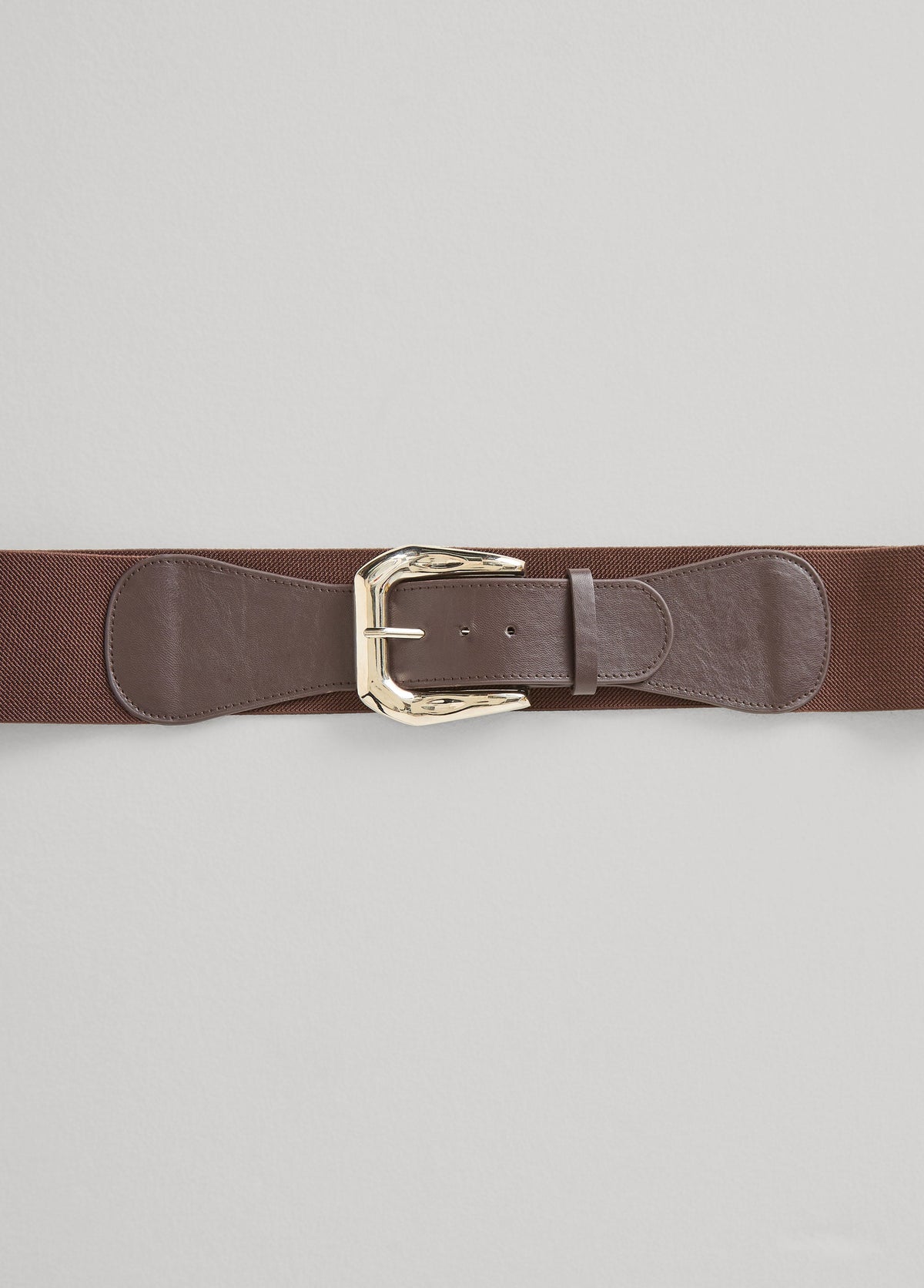 Hammered Silver Buckle Belt Chocolate Brown | Ashley Stewart