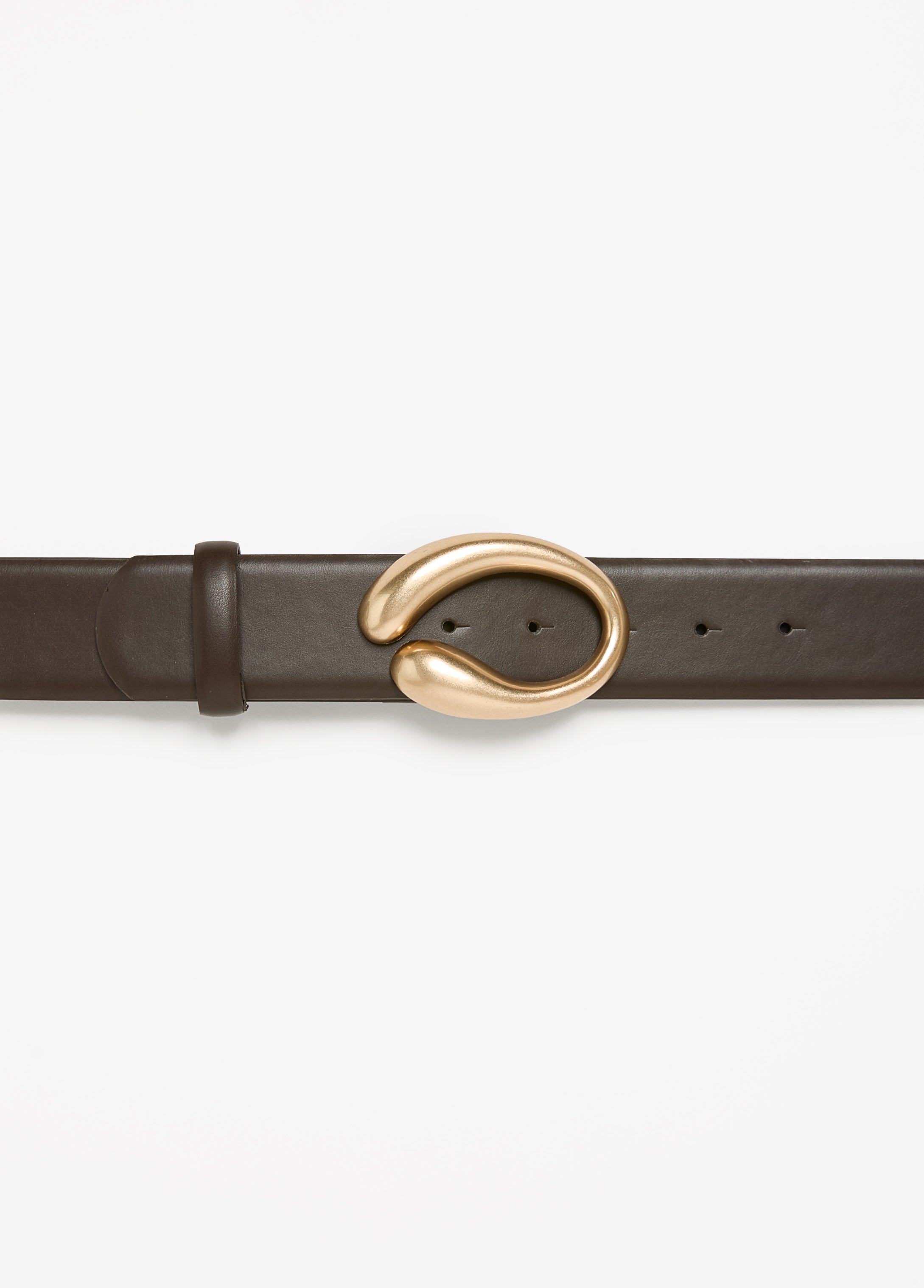 Sculpted Buckle Belt Chocolate Brown | Ashley Stewart