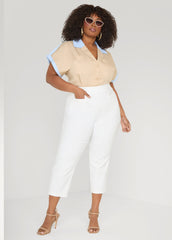 Striped Paneled Cotton Shirt Beige | Ashley Stewart