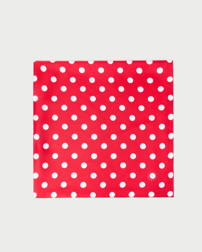 Loeffler Randall Beverly Red/White Silk Scarf