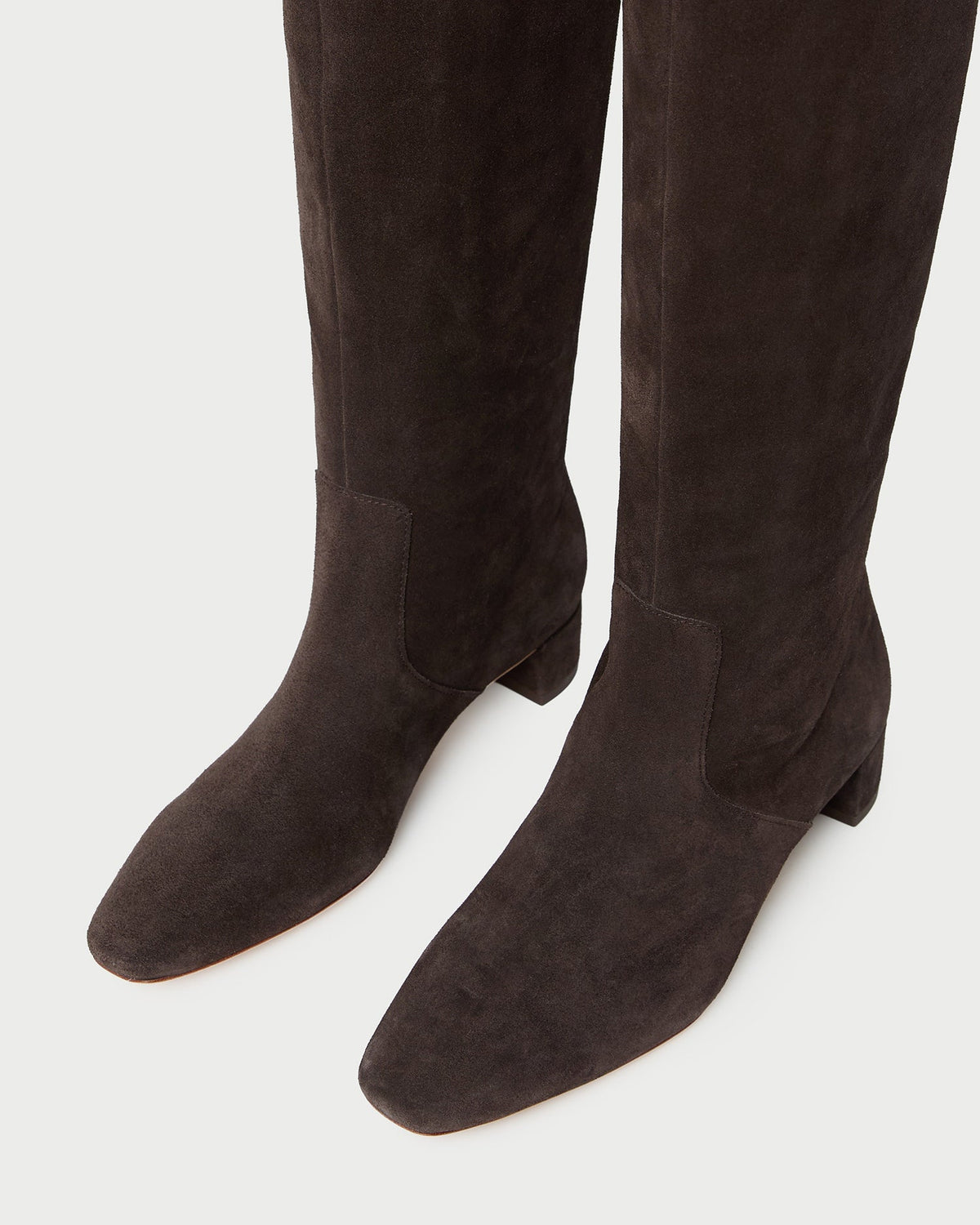 Loeffler Randall Indy Brown Suede Tall Boot